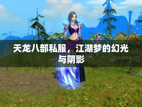 天龙八部私服，江湖梦的幻光与阴影