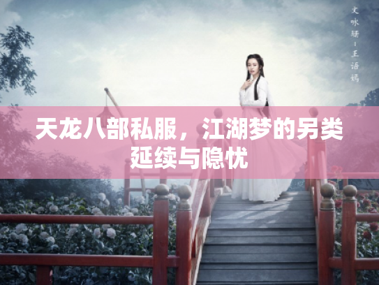 天龙八部私服，江湖梦的另类延续与隐忧