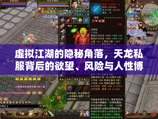 虚拟江湖的隐秘角落，天龙私服背后的欲望、风险与人性博弈