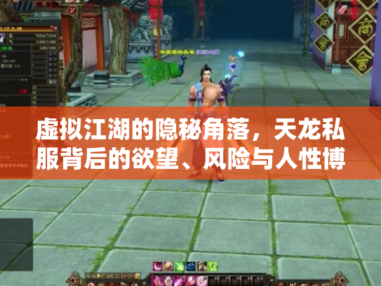 虚拟江湖的隐秘角落，天龙私服背后的欲望、风险与人性博弈