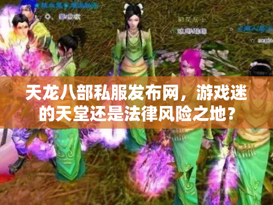 天龙八部私服发布网，游戏迷的天堂还是法律风险之地？