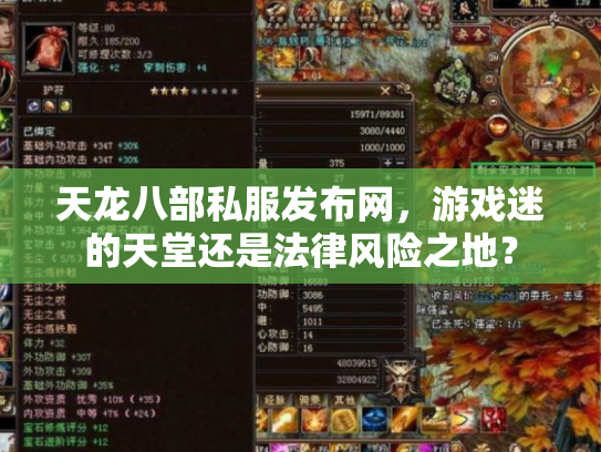 天龙八部私服发布网，游戏迷的天堂还是法律风险之地？