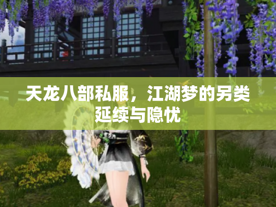 天龙八部私服，江湖梦的另类延续与隐忧