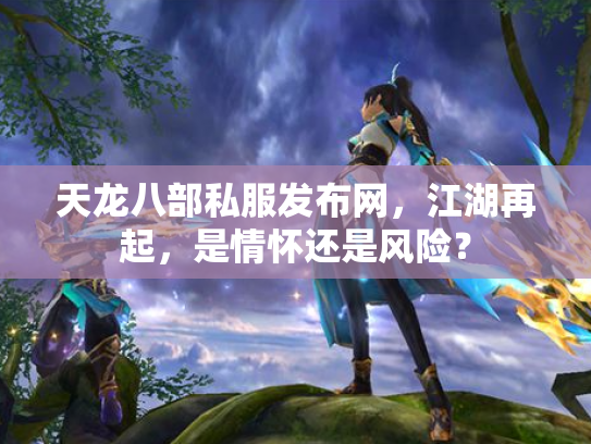 天龙八部私服发布网，江湖再起，是情怀还是风险？