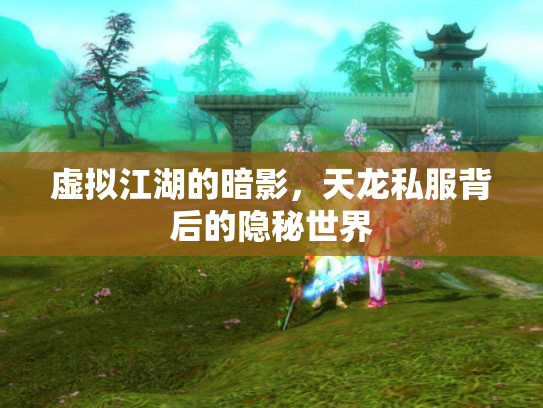 虚拟江湖的暗影，天龙私服背后的隐秘世界