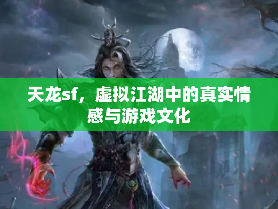 天龙sf，虚拟江湖中的真实情感与游戏文化