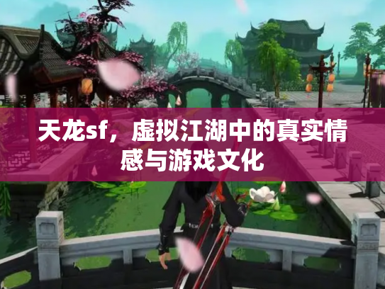 天龙sf，虚拟江湖中的真实情感与游戏文化