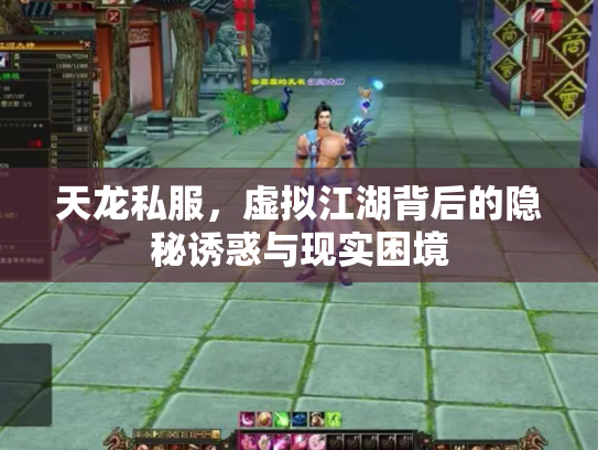 天龙私服，虚拟江湖背后的隐秘诱惑与现实困境