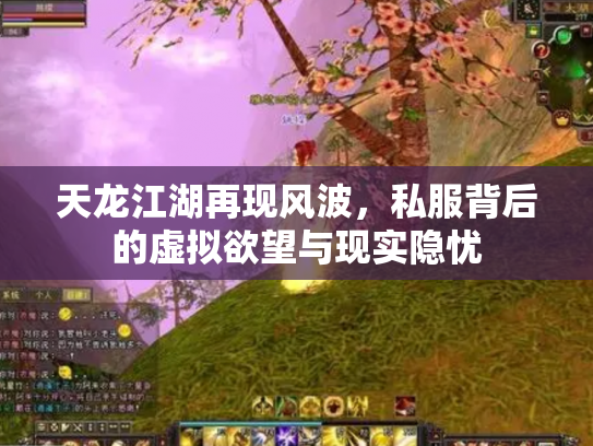 天龙江湖再现风波，私服背后的虚拟欲望与现实隐忧