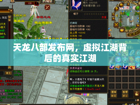 天龙八部发布网，虚拟江湖背后的真实江湖