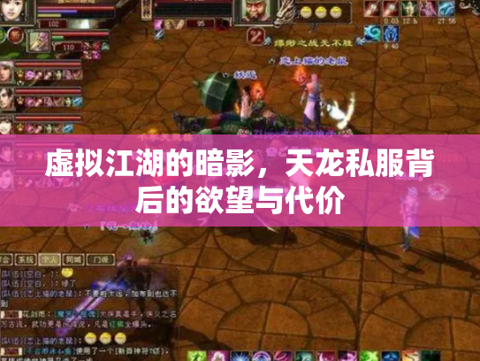 虚拟江湖的暗影，天龙私服背后的欲望与代价