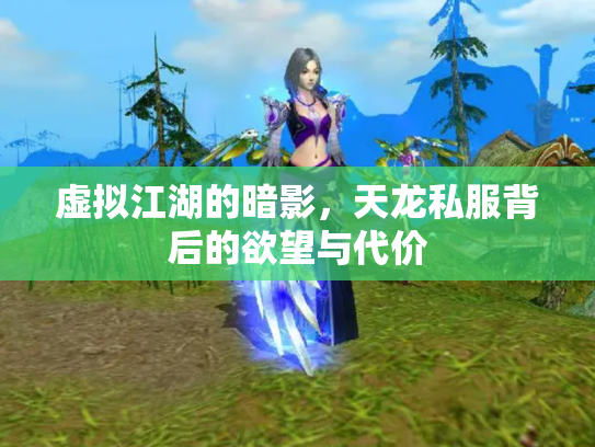 虚拟江湖的暗影，天龙私服背后的欲望与代价