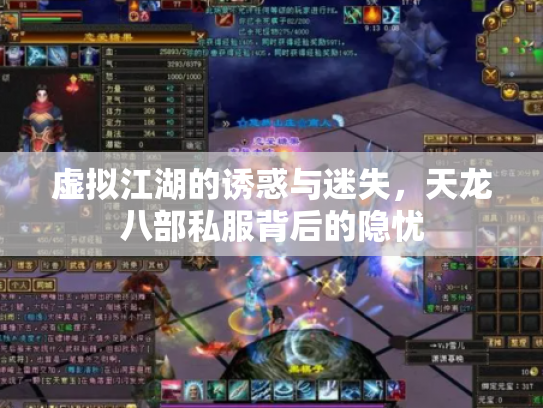 虚拟江湖的诱惑与迷失，天龙八部私服背后的隐忧
