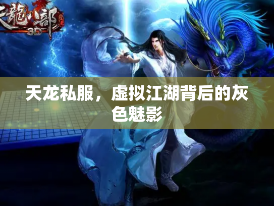 天龙私服，虚拟江湖背后的灰色魅影