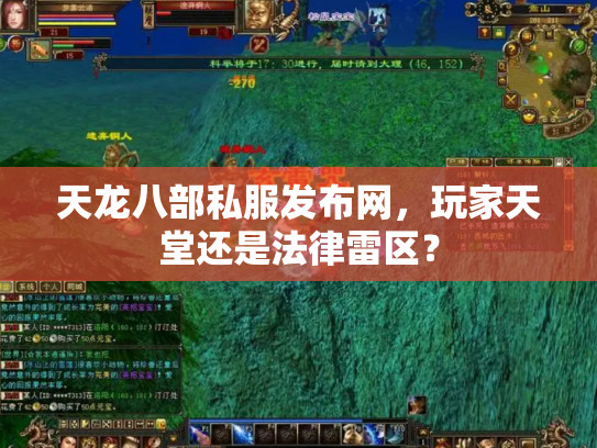 天龙八部私服发布网，玩家天堂还是法律雷区？