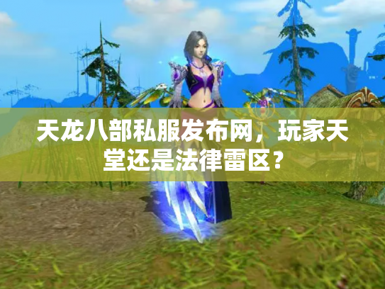 天龙八部私服发布网，玩家天堂还是法律雷区？
