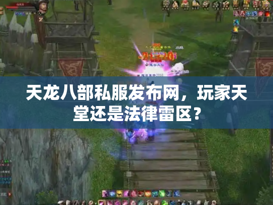 天龙八部私服发布网，玩家天堂还是法律雷区？