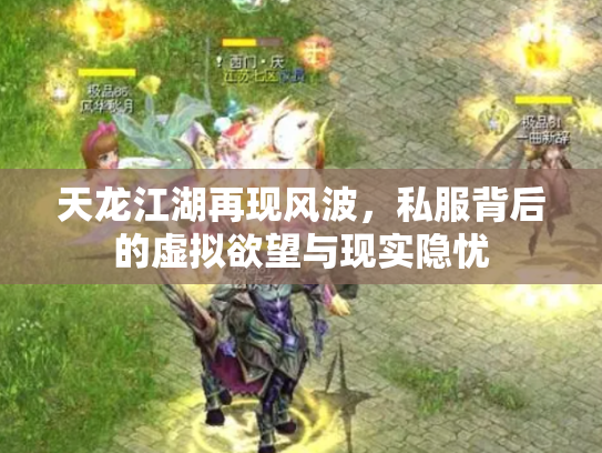 天龙江湖再现风波，私服背后的虚拟欲望与现实隐忧