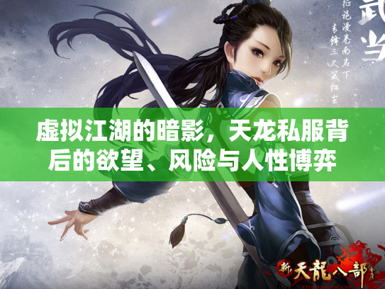 虚拟江湖的暗影，天龙私服背后的欲望、风险与人性博弈