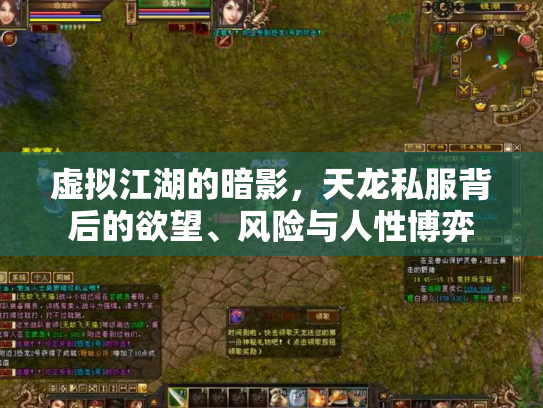 虚拟江湖的暗影，天龙私服背后的欲望、风险与人性博弈