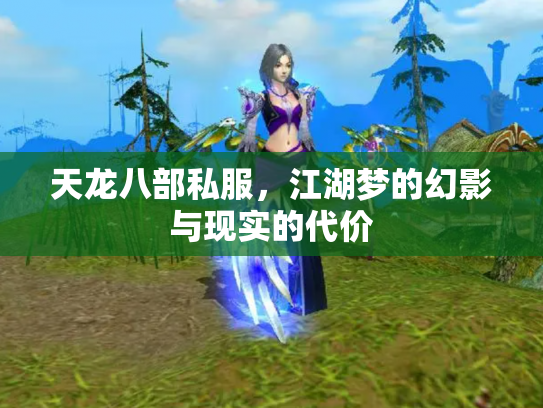 天龙八部私服，江湖梦的幻影与现实的代价