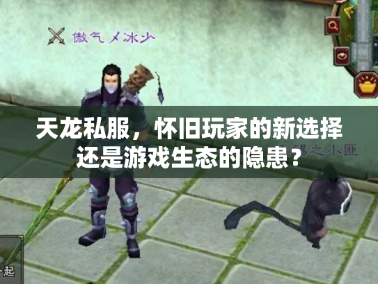 天龙私服，怀旧玩家的新选择还是游戏生态的隐患？