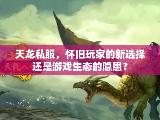 天龙私服，怀旧玩家的新选择还是游戏生态的隐患？