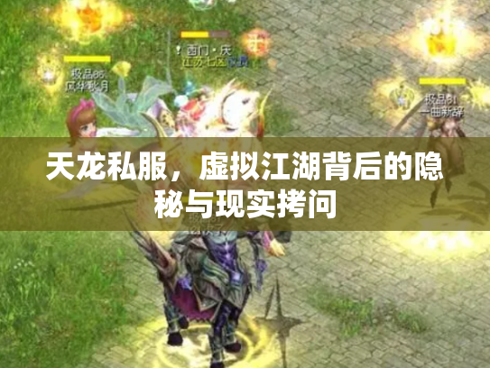 天龙私服，虚拟江湖背后的隐秘与现实拷问
