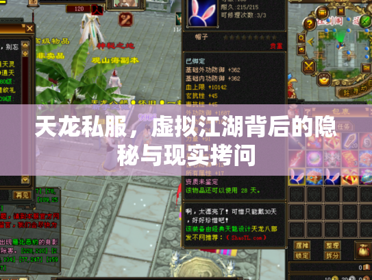 天龙私服，虚拟江湖背后的隐秘与现实拷问