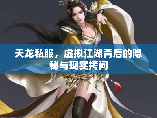 天龙私服，虚拟江湖背后的隐秘与现实拷问