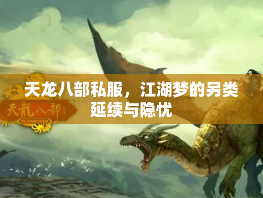 天龙八部私服，江湖梦的另类延续与隐忧