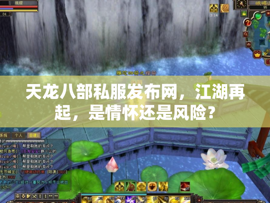 天龙八部私服发布网，江湖再起，是情怀还是风险？