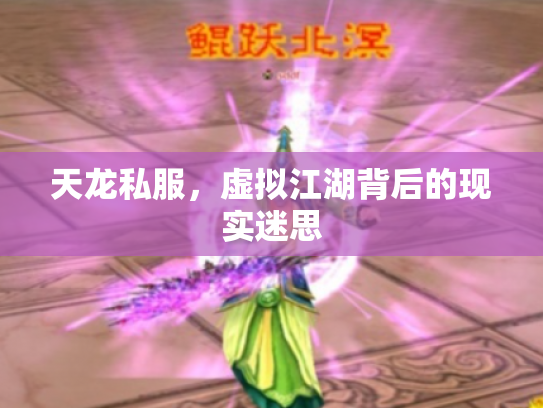 天龙私服，虚拟江湖背后的现实迷思