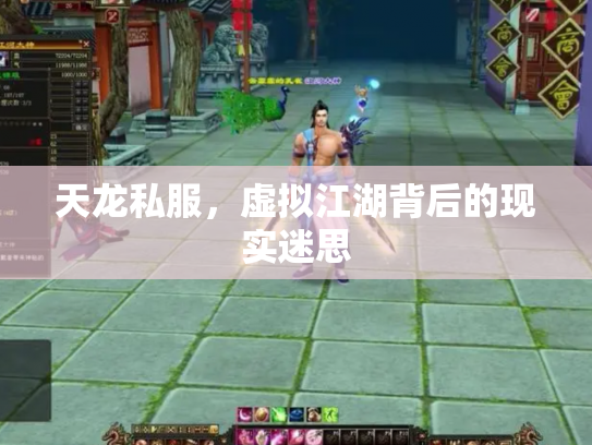 天龙私服，虚拟江湖背后的现实迷思