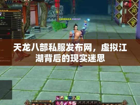 天龙八部私服发布网，虚拟江湖背后的现实迷思