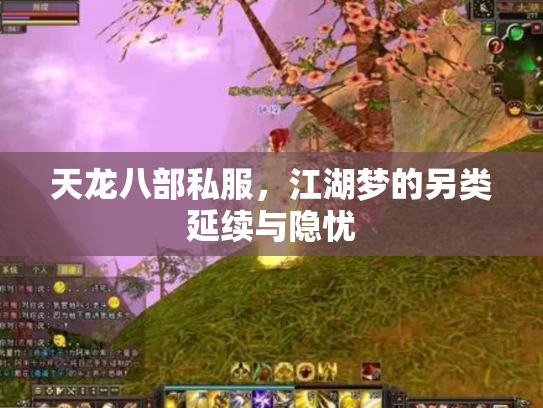 天龙八部私服，江湖梦的另类延续与隐忧