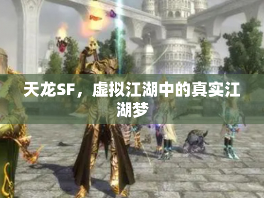 天龙SF，虚拟江湖中的真实江湖梦
