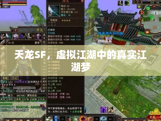 天龙SF，虚拟江湖中的真实江湖梦