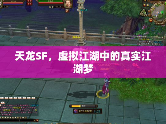 天龙SF，虚拟江湖中的真实江湖梦
