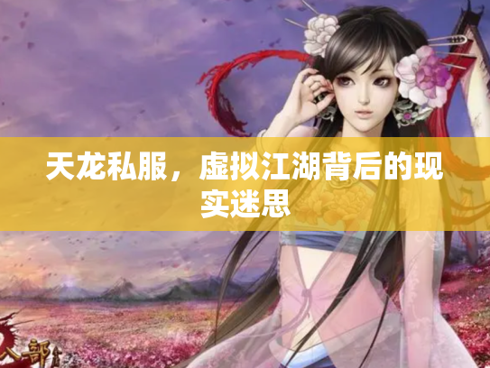 天龙私服，虚拟江湖背后的现实迷思