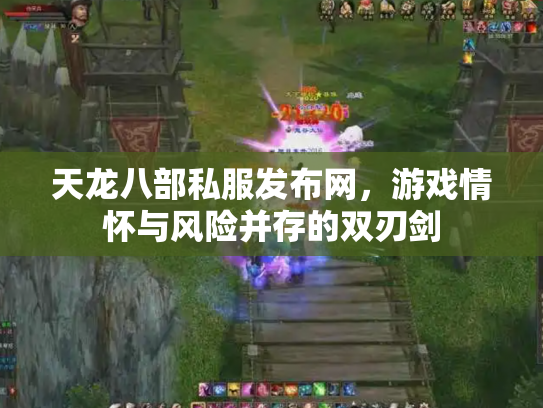 天龙八部私服发布网，游戏情怀与风险并存的双刃剑