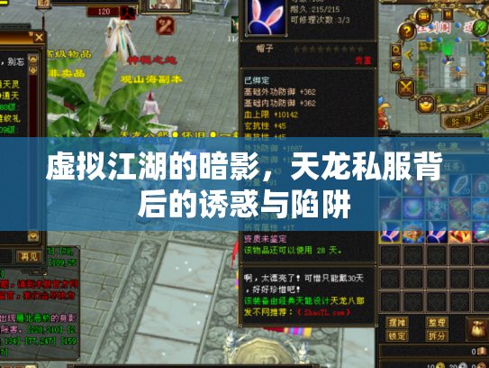 虚拟江湖的暗影，天龙私服背后的诱惑与陷阱