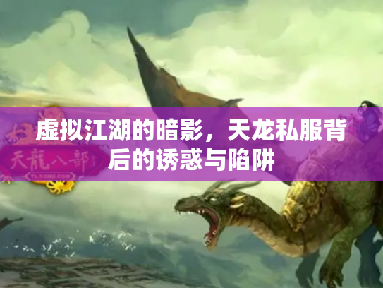 虚拟江湖的暗影，天龙私服背后的诱惑与陷阱