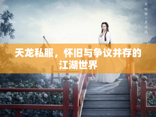 天龙私服，怀旧与争议并存的江湖世界