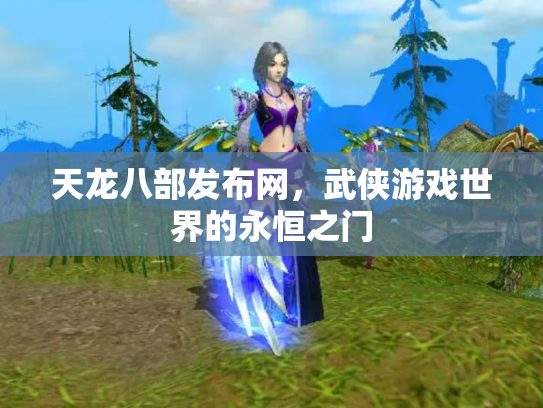 天龙八部发布网，武侠游戏世界的永恒之门