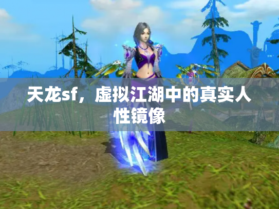 天龙sf，虚拟江湖中的真实人性镜像