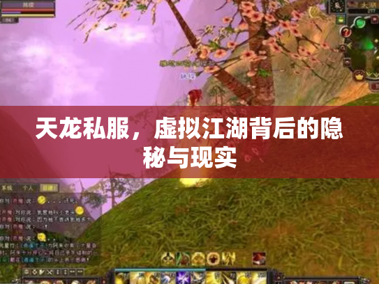 天龙私服，虚拟江湖背后的隐秘与现实