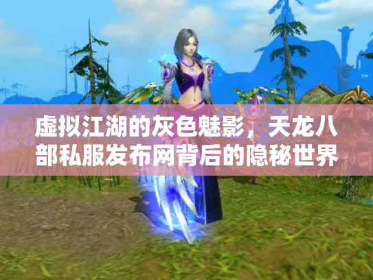 虚拟江湖的灰色魅影，天龙八部私服发布网背后的隐秘世界