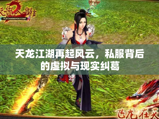 天龙江湖再起风云，私服背后的虚拟与现实纠葛