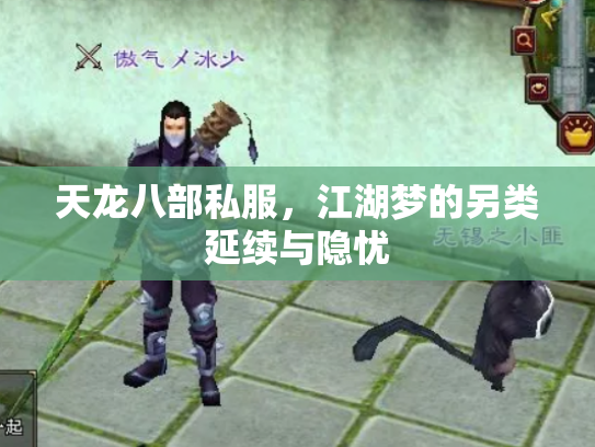 天龙八部私服，江湖梦的另类延续与隐忧
